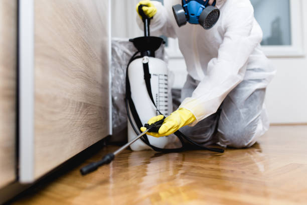Best Cockroach Control Services  in Bono, AR