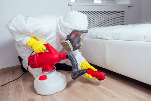 Flea Control Services in Bono, AR